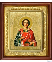 Икона Пантелеймон Целитель(325видов)